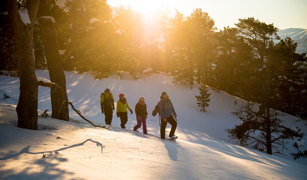 Trugetur ved Stegastein
