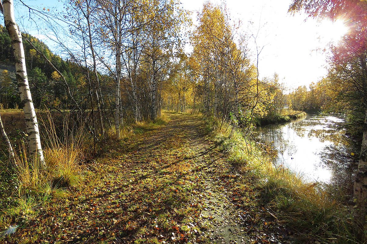 web_Lomendelta_IMG_9524