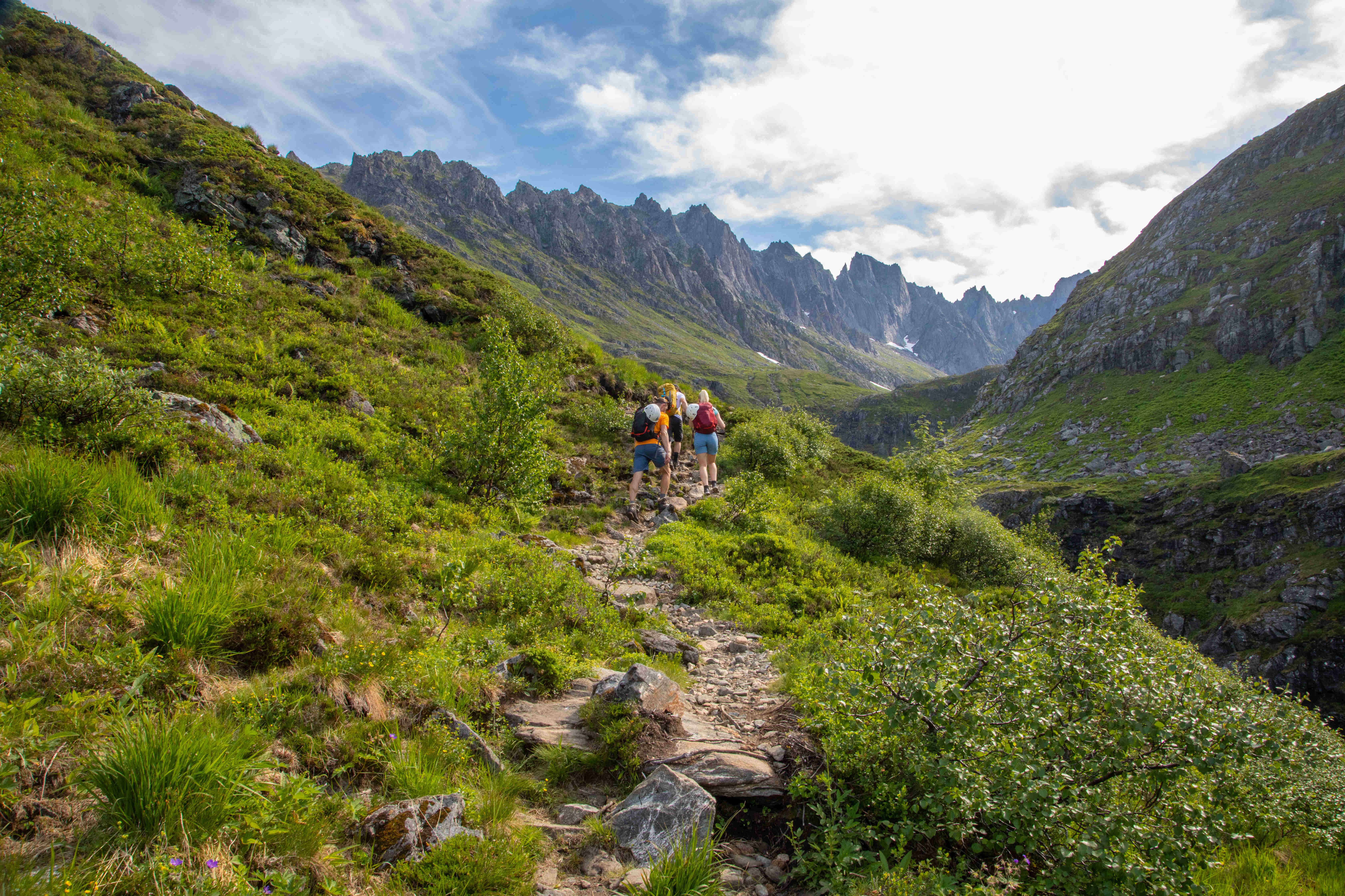 Molladalen
