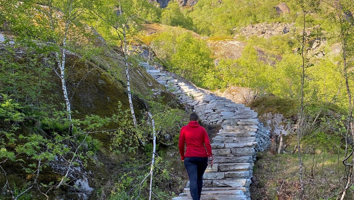Sherpatrappa til Fløya