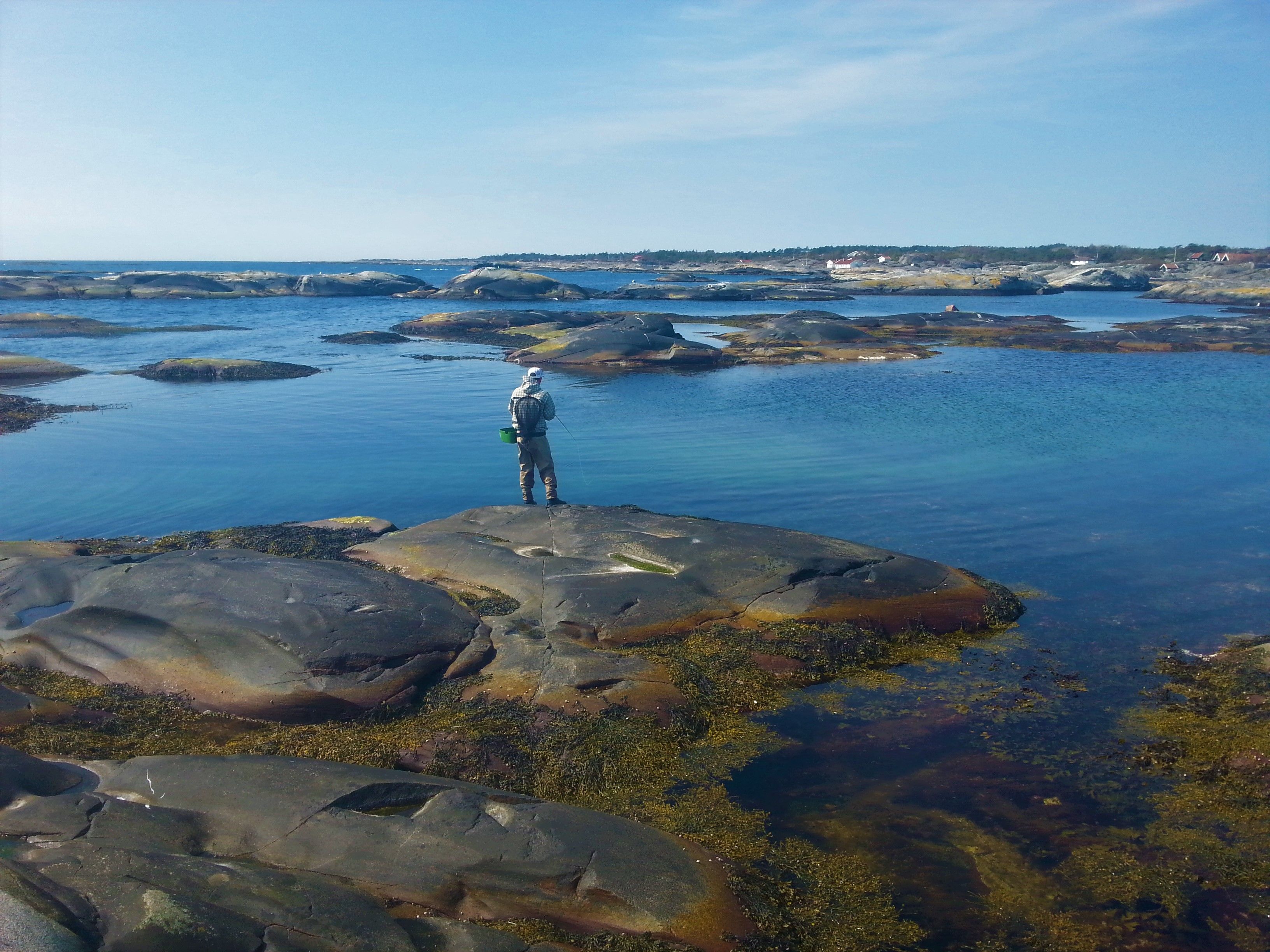 Sjøørretfiske på svaberg