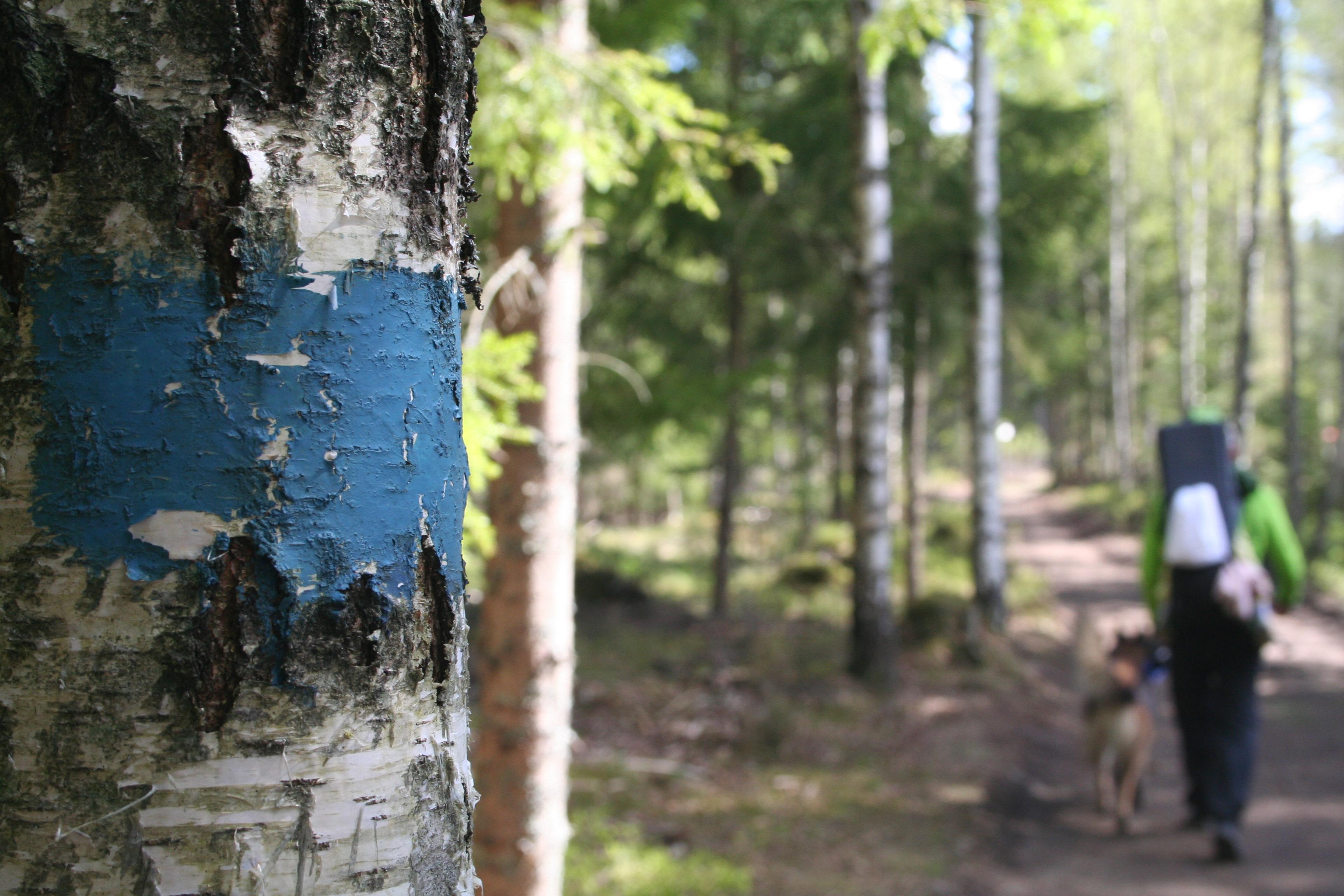 Turperler - Skimtefjell