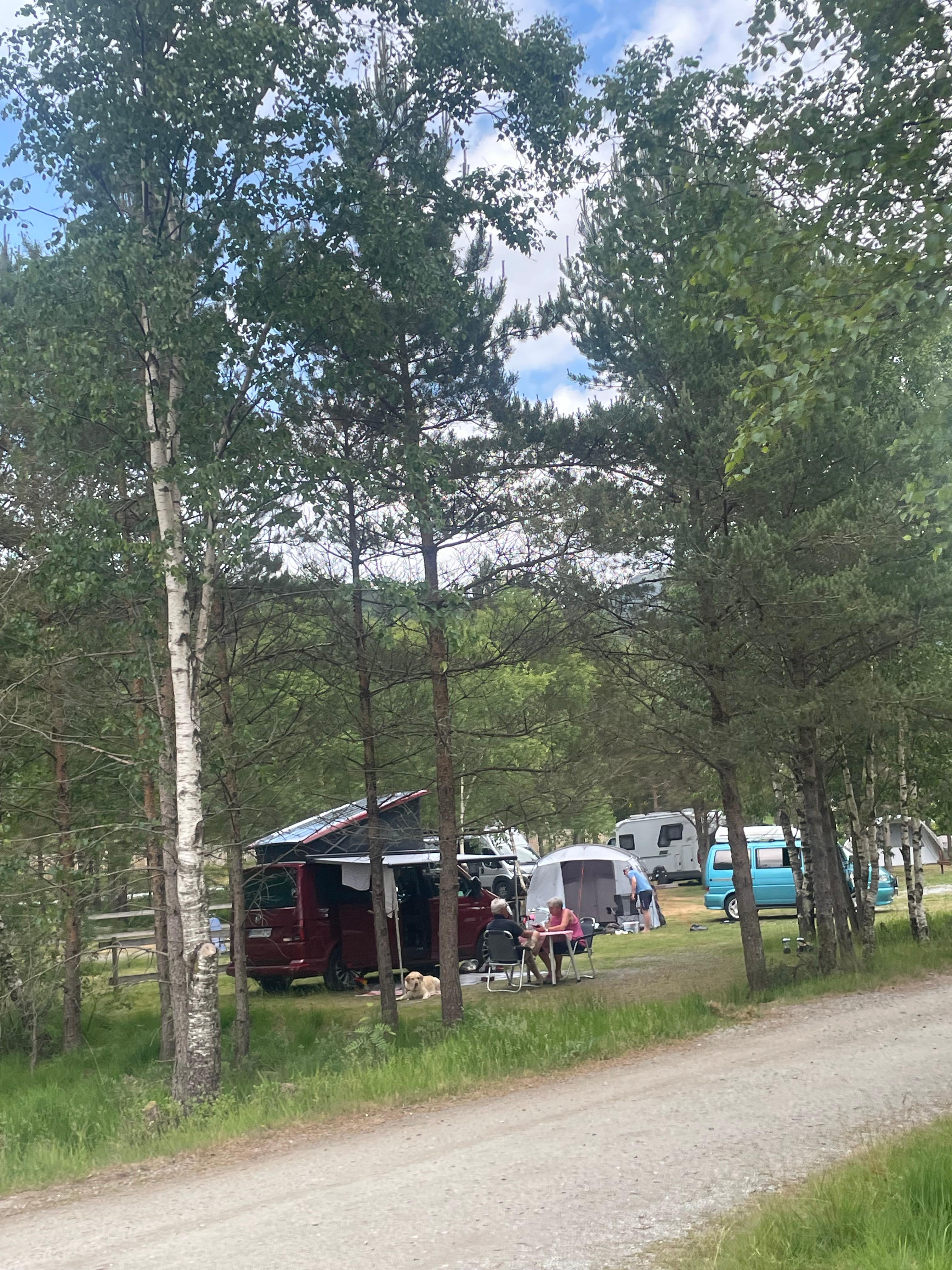 Preikestolen Camping nahe den Startpunkt der Wanderung zum Preikestolen