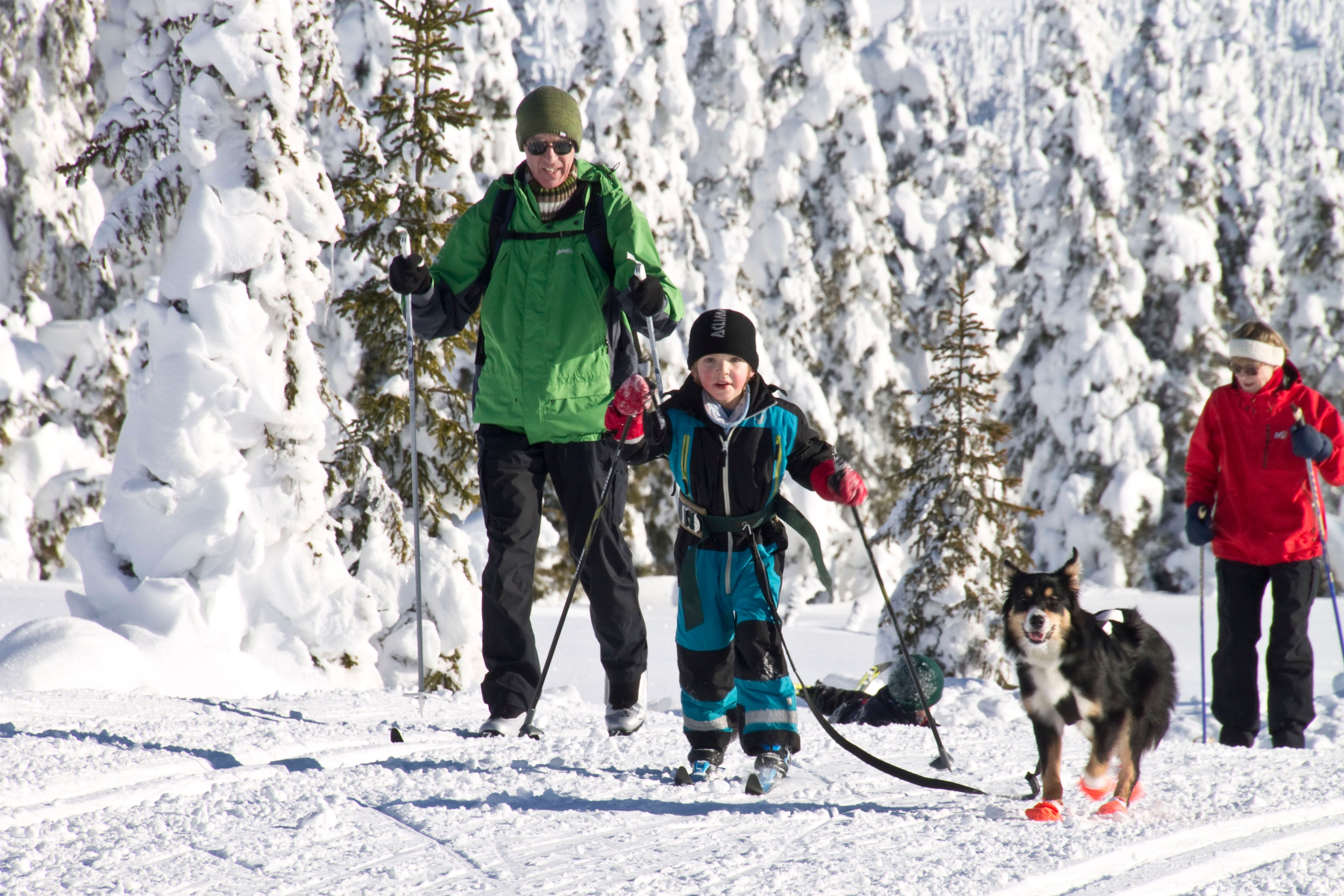 Family with children cross-country skiing at Sjusjøen