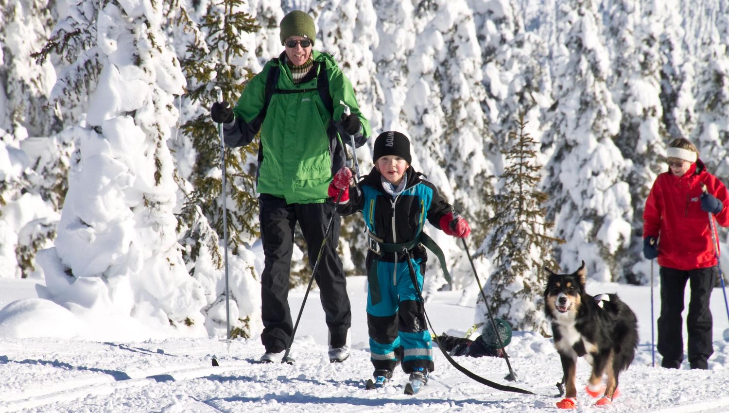 Family with children cross-country skiing at Sjusjøen