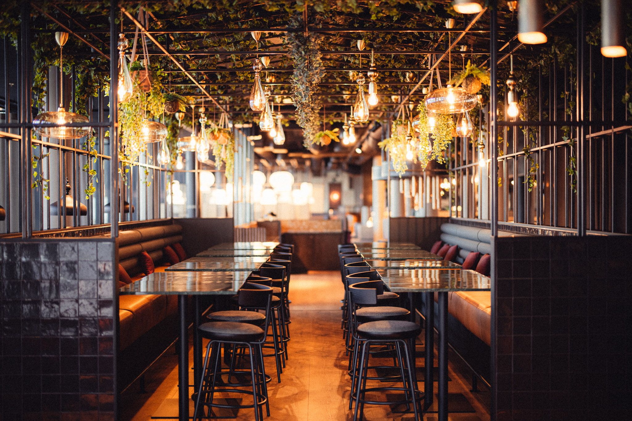 Bar chairs in a bar  area 