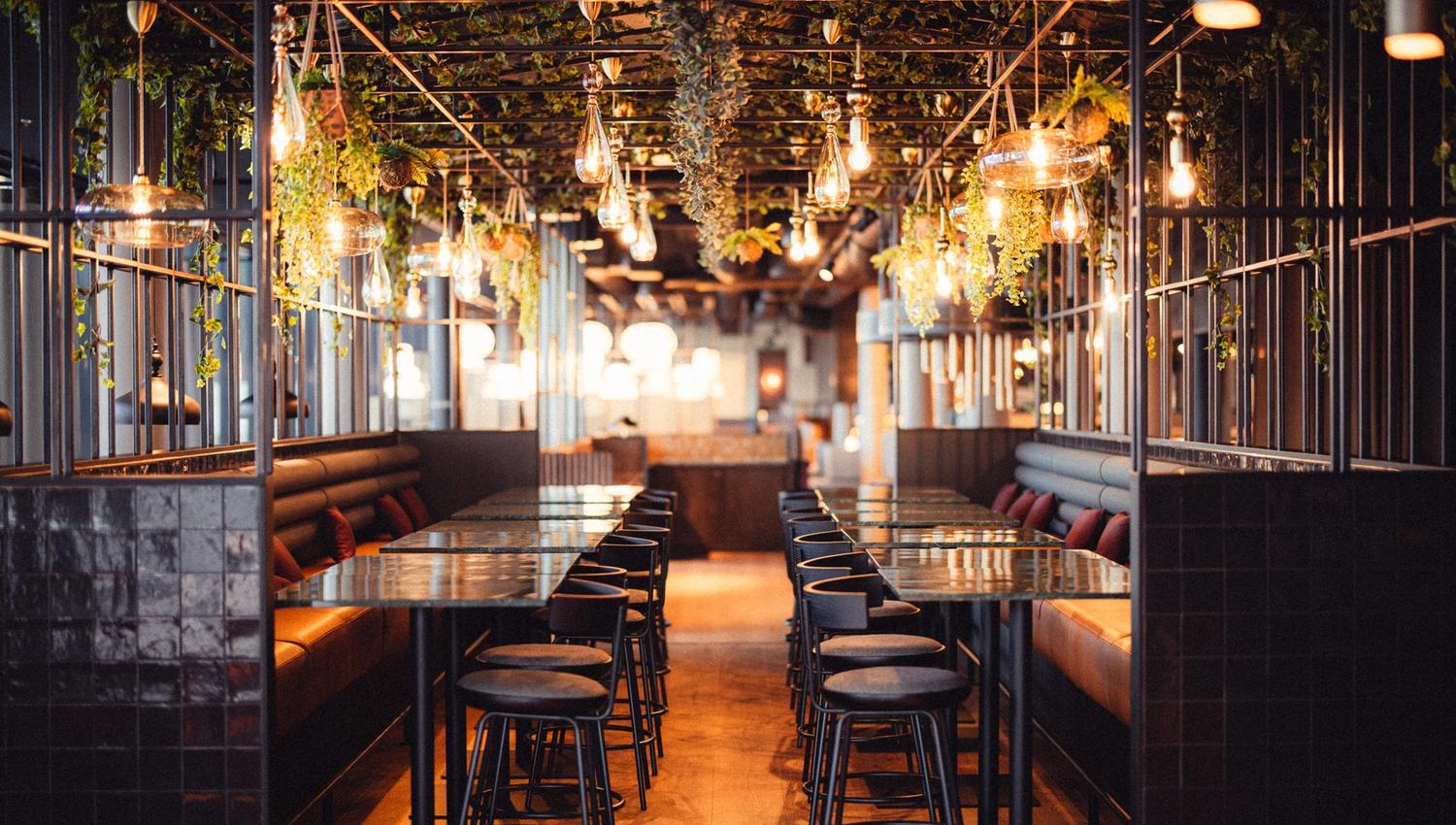 Bar chairs in a bar area