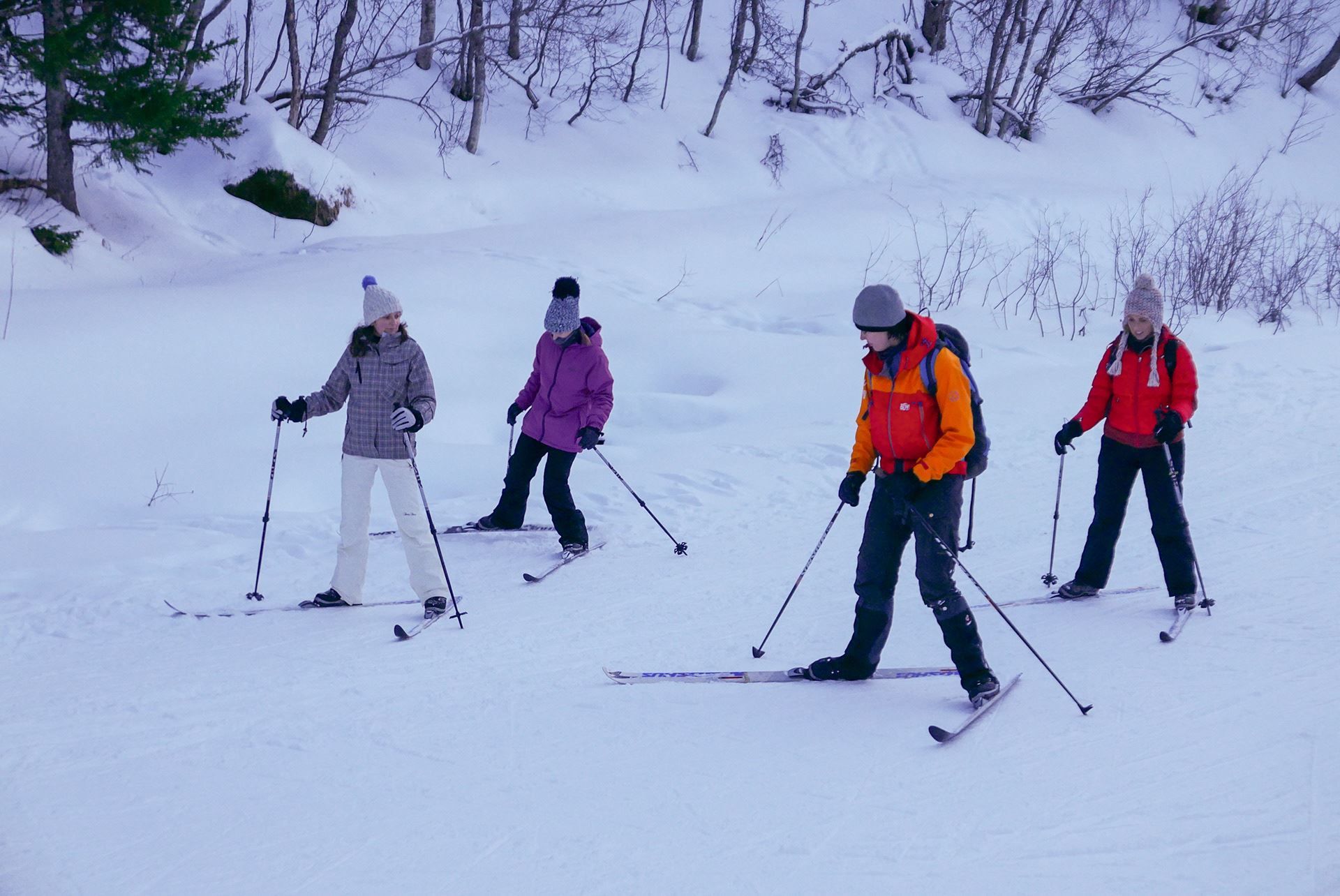 4 people cross-country skiing on a floodlit trail.
