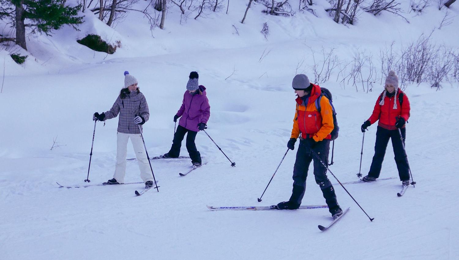 4 people cross-country skiing on a floodlit trail.