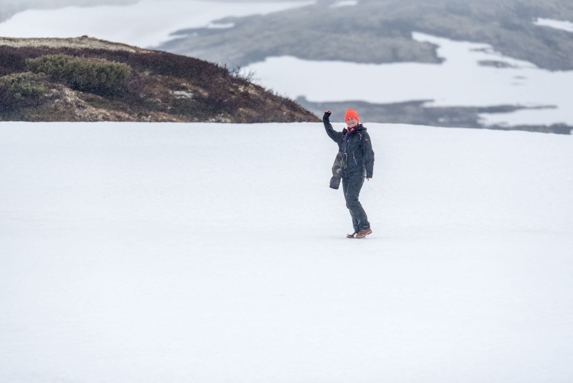 Bird watching with guide