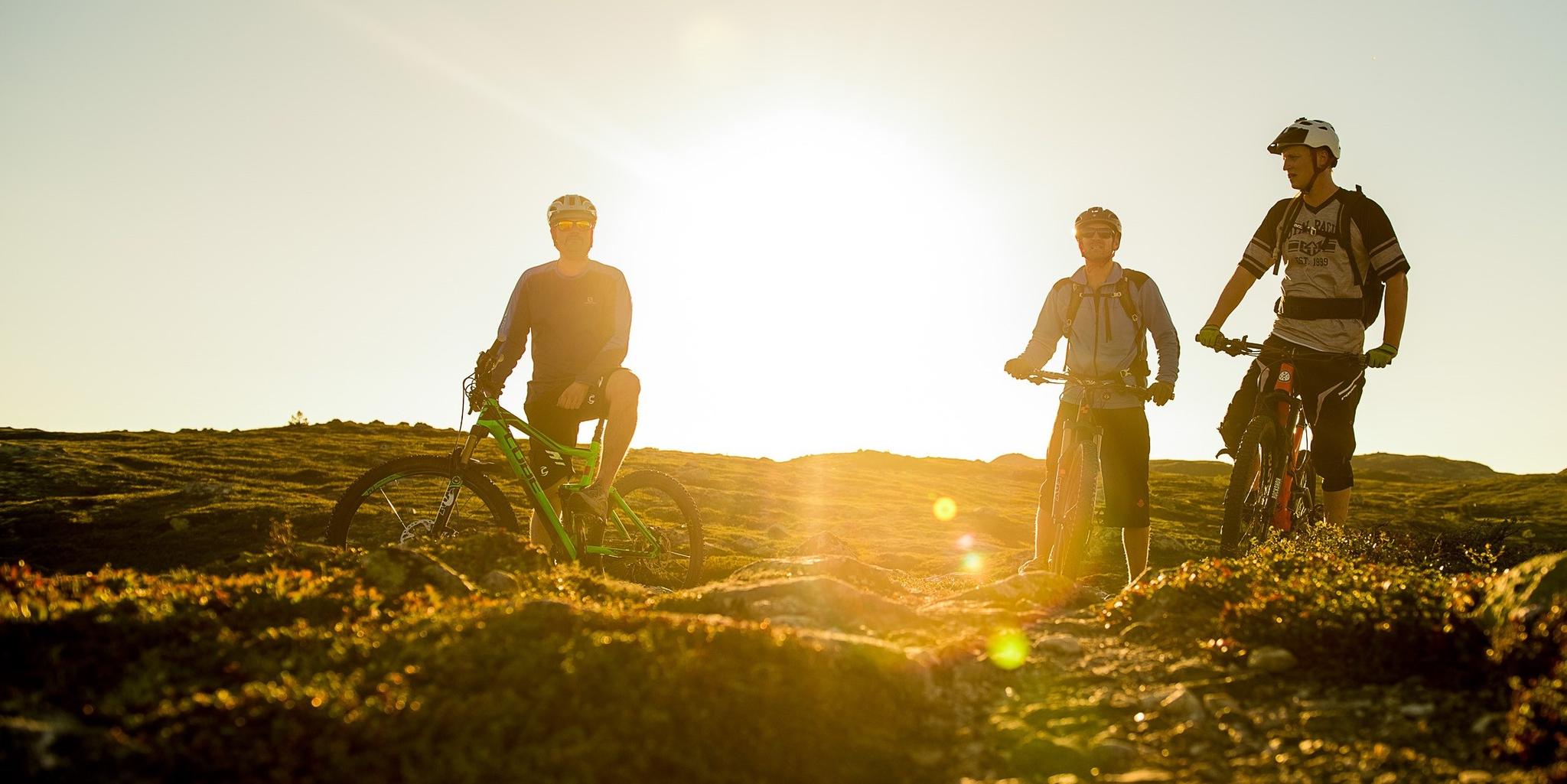 Syklistar i Solskinn
