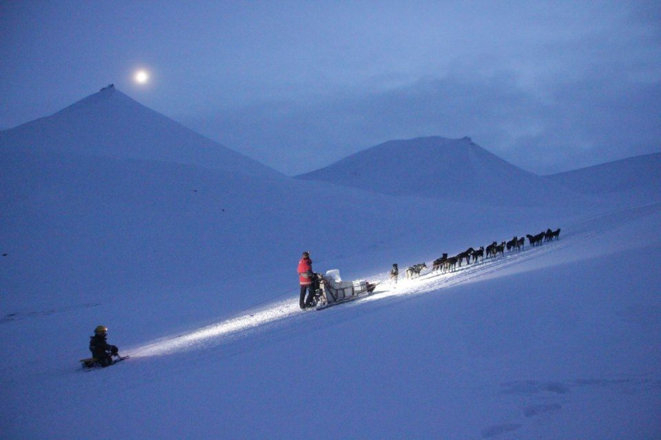 Dog sled with a child on a sled behind