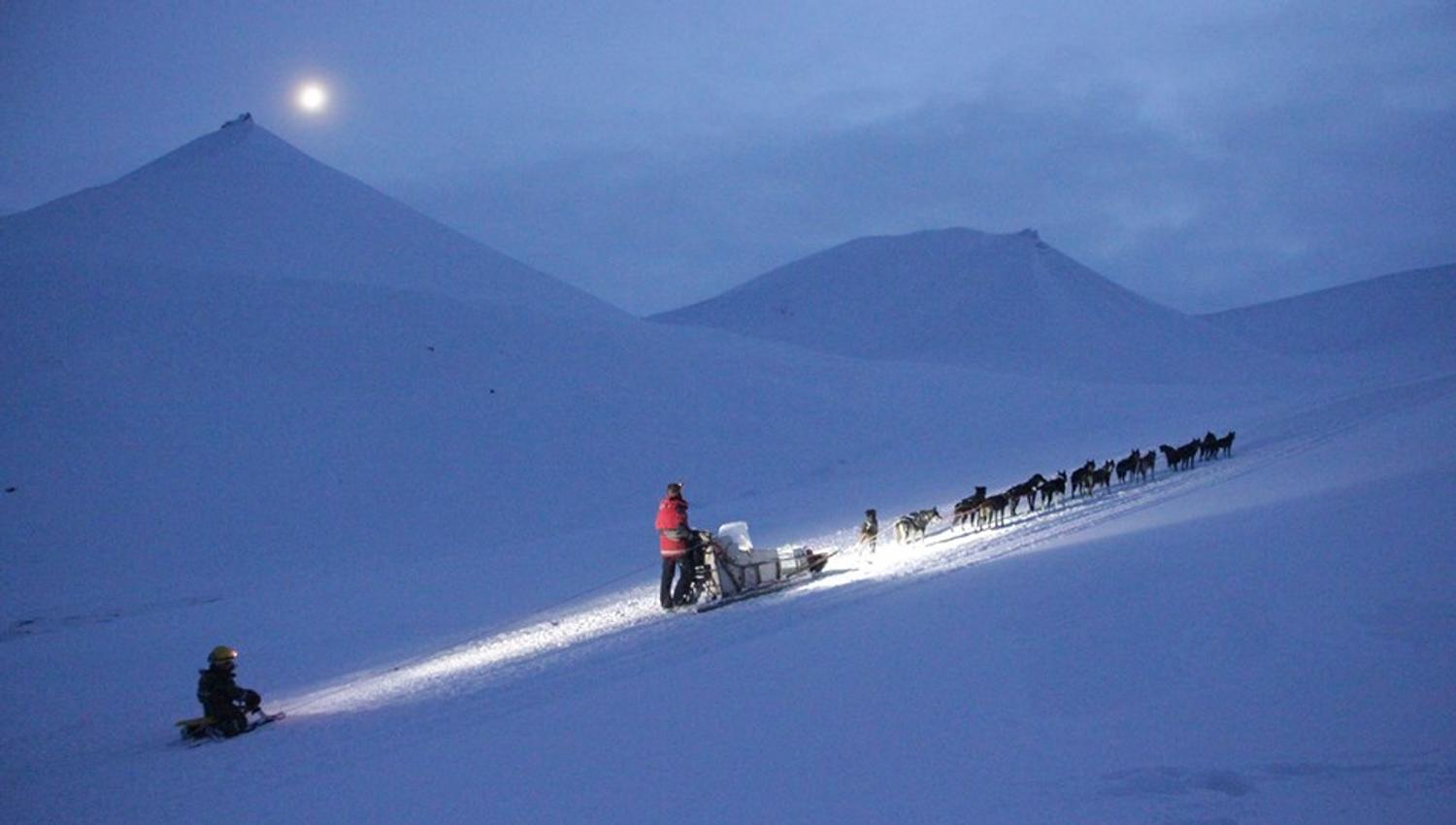 Hundeslede med barn på slede bak