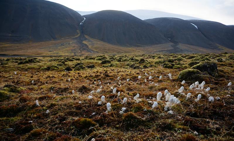 Landscape photo of a valley with vegetation in orange and green colours and a range of mountains in the background