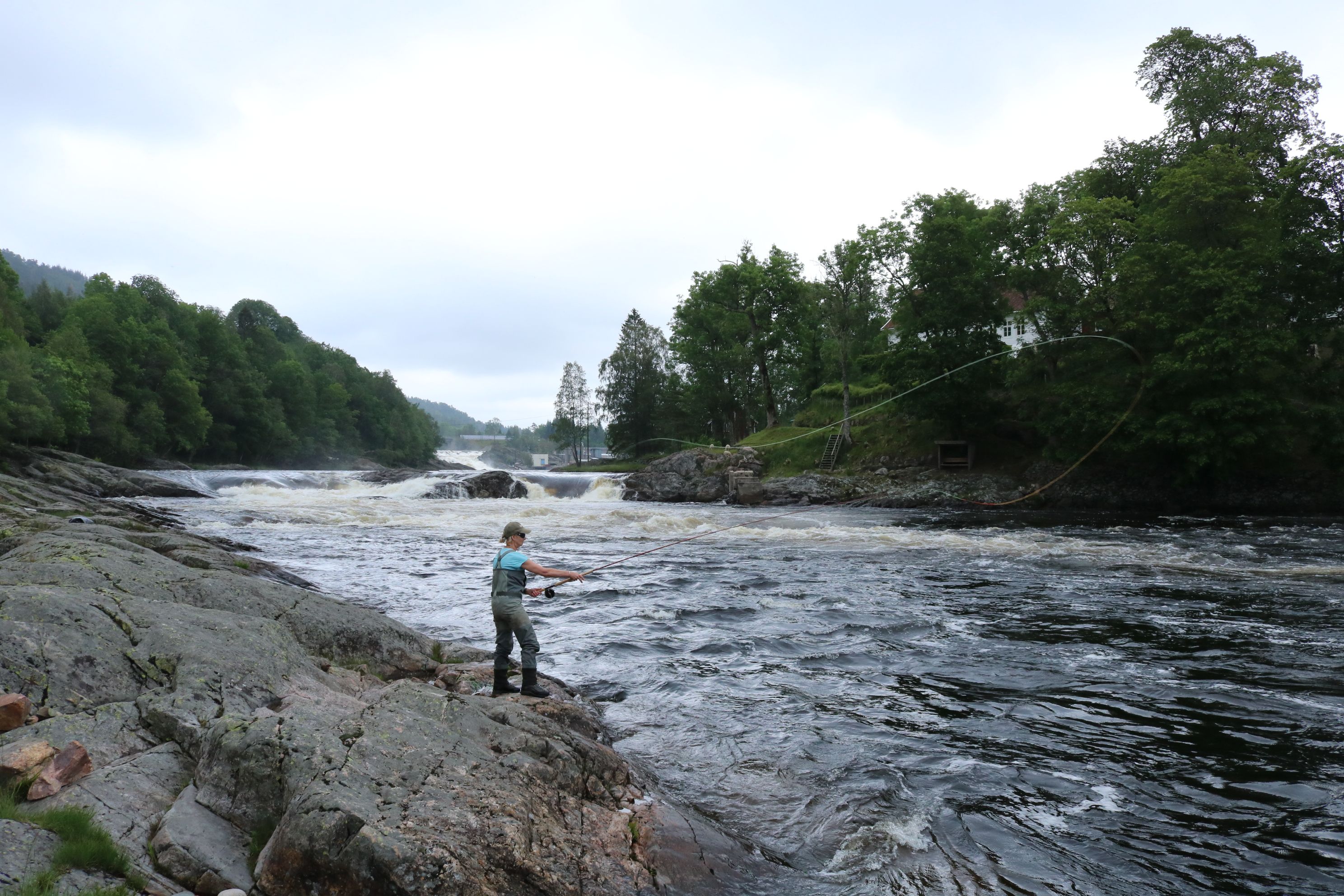 Fluefiske, Boen Ga°rd