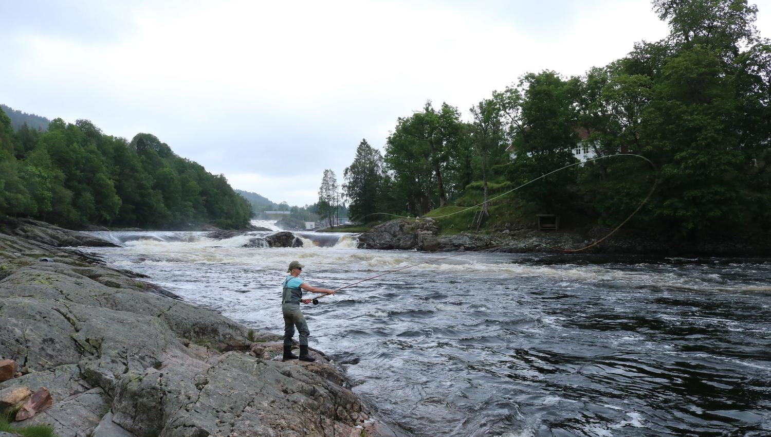 Fluefiske, Boen Ga°rd