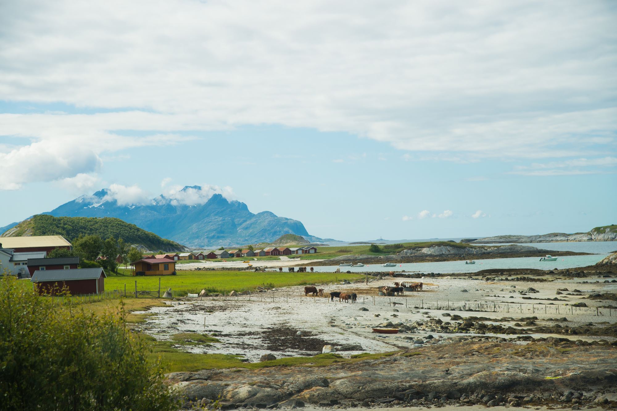 Kjerringøy Handelsted