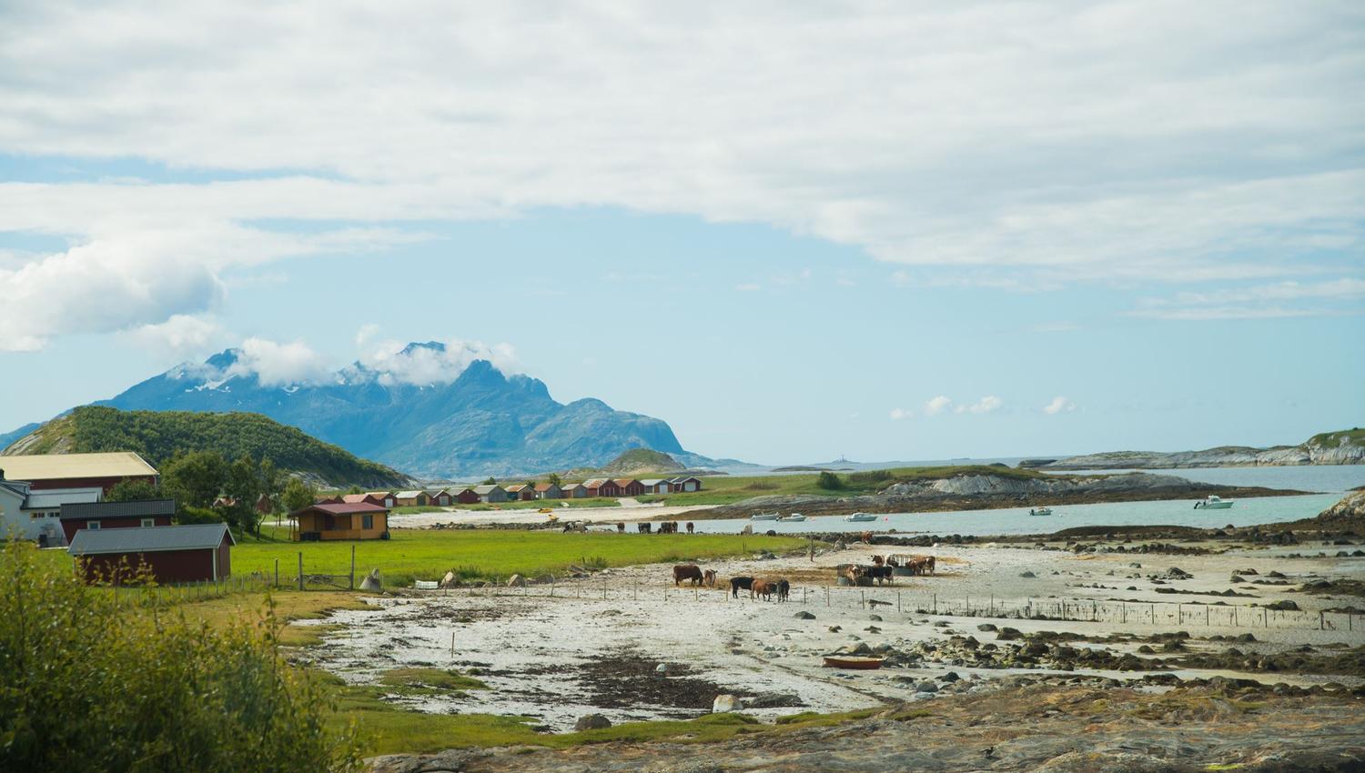 Kjerringøy Handelsted