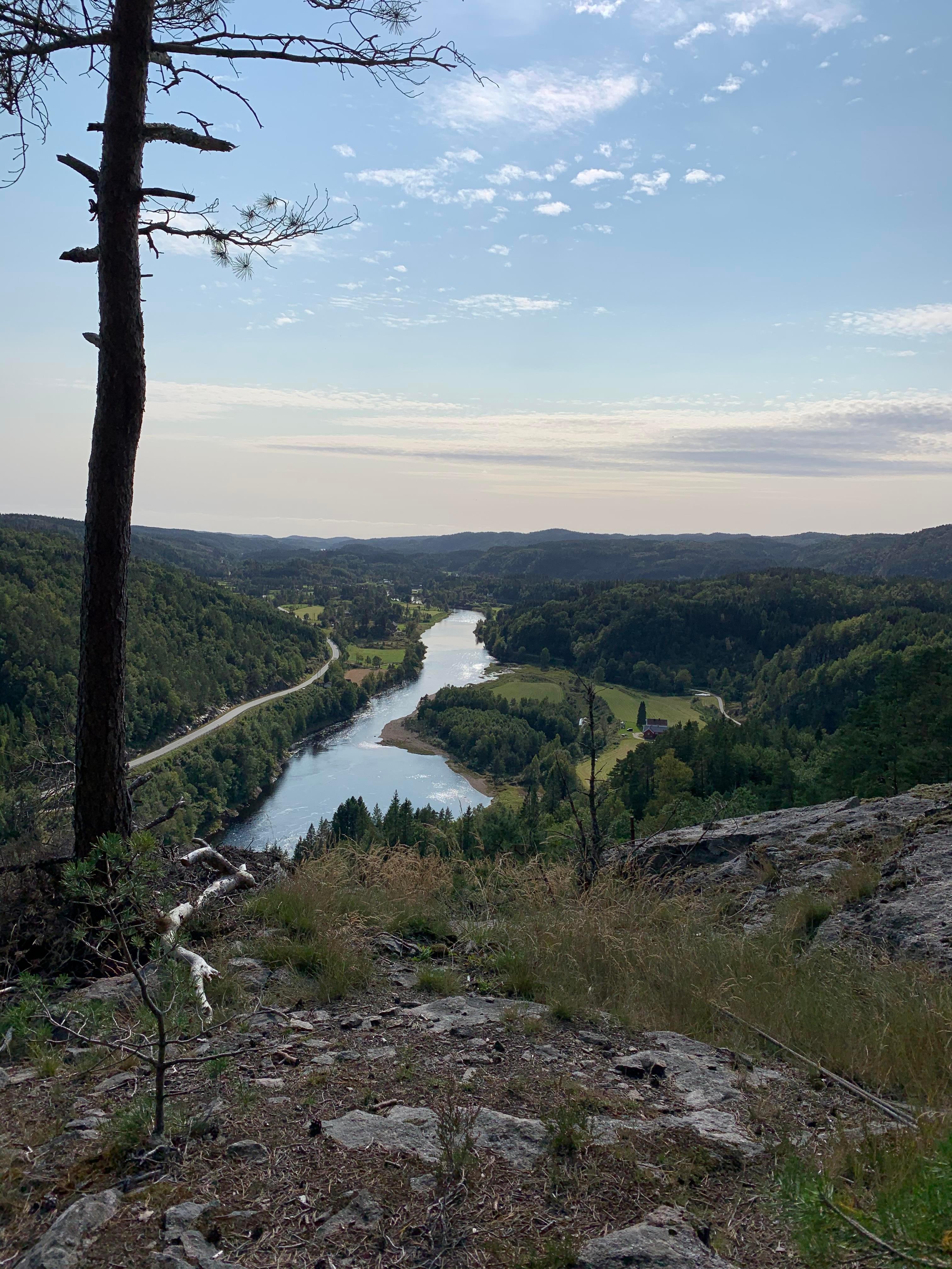Bilde av landskap med elv midt i, vei langs vannet og skog på høyre side, få skyer på himmelen og fint vær