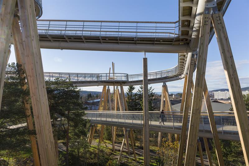 gangstiene til stovnertårnet