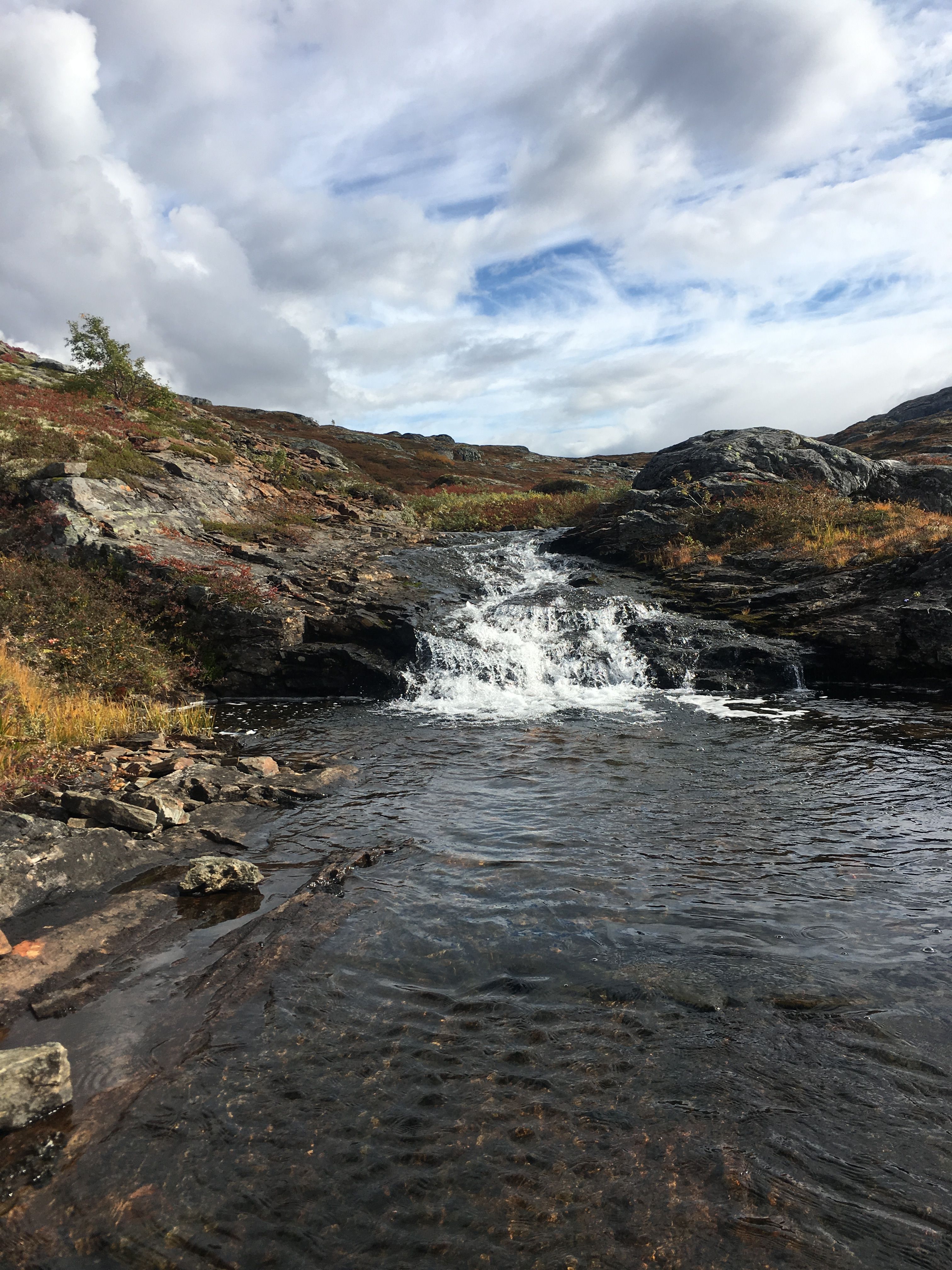 Clear mountain stream running through autumn-colored landscape on Hardangervidda.