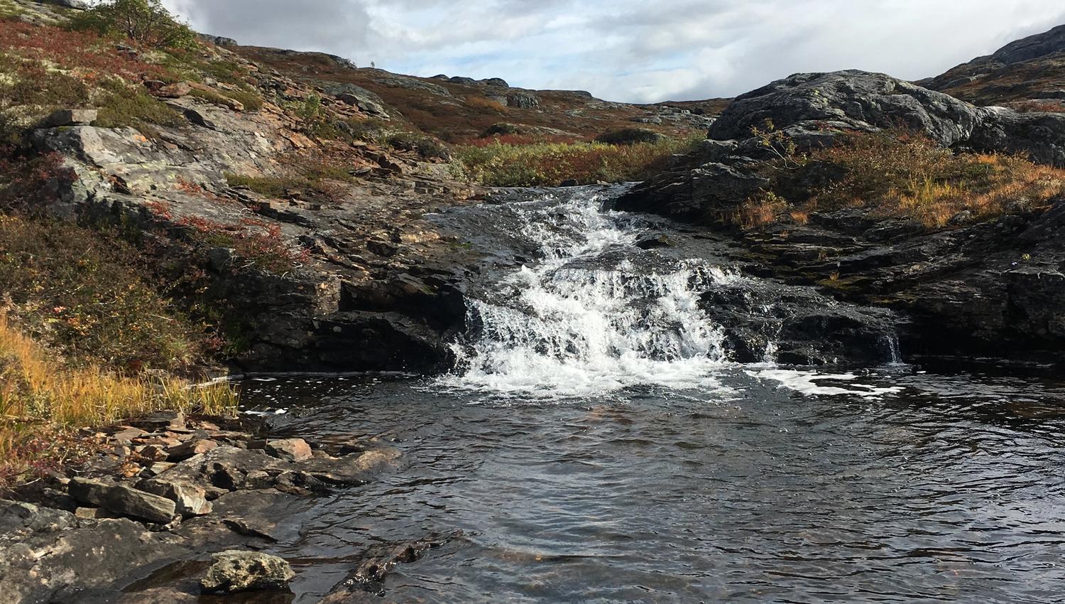 Clear mountain stream running through autumn-colored landscape on Hardangervidda.