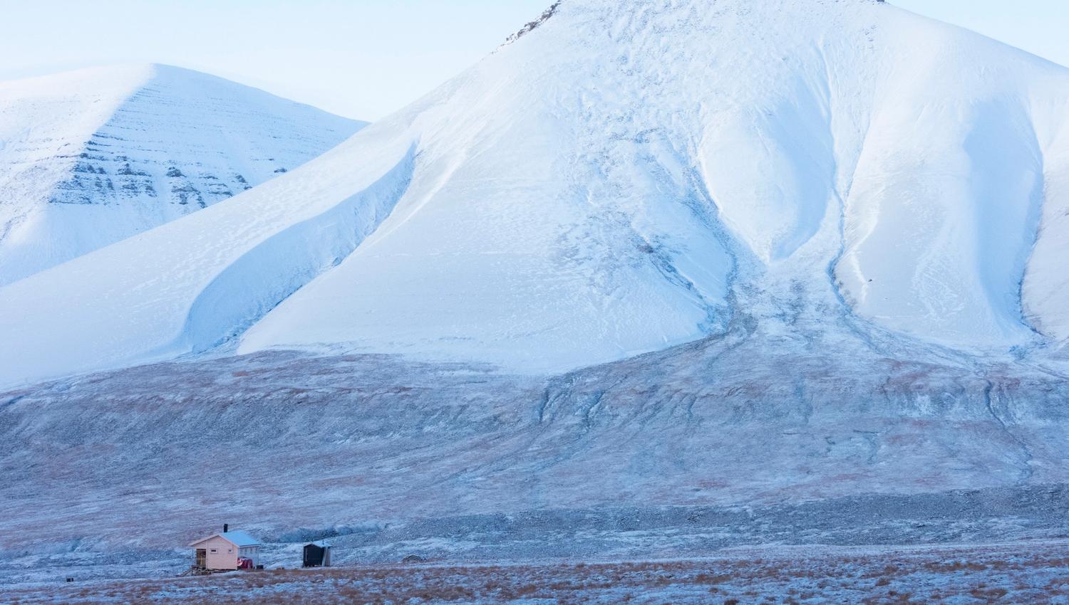 11 Håkon Daae Brensholm