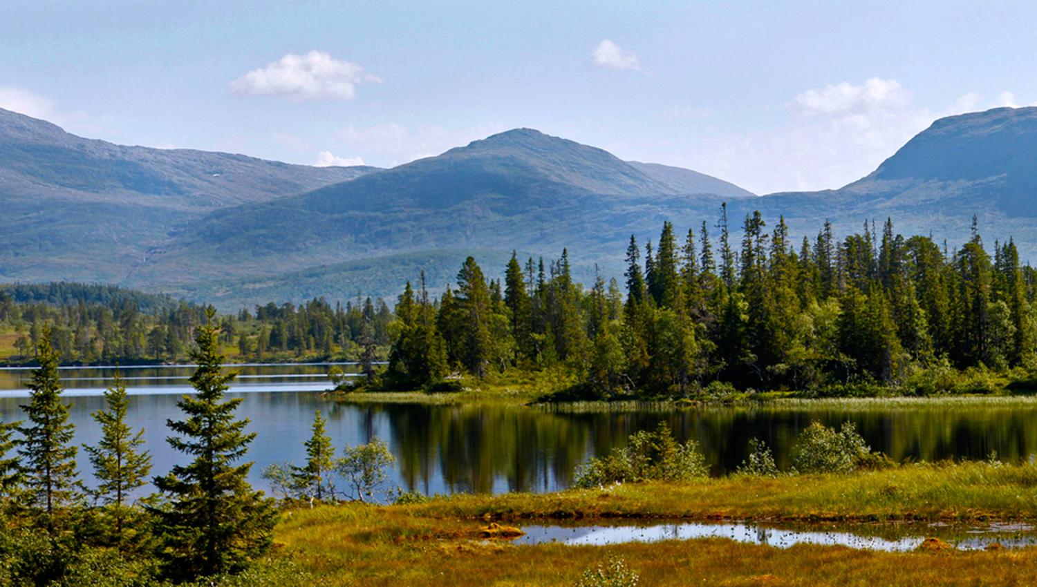 Hiking in Skjækra Mountains