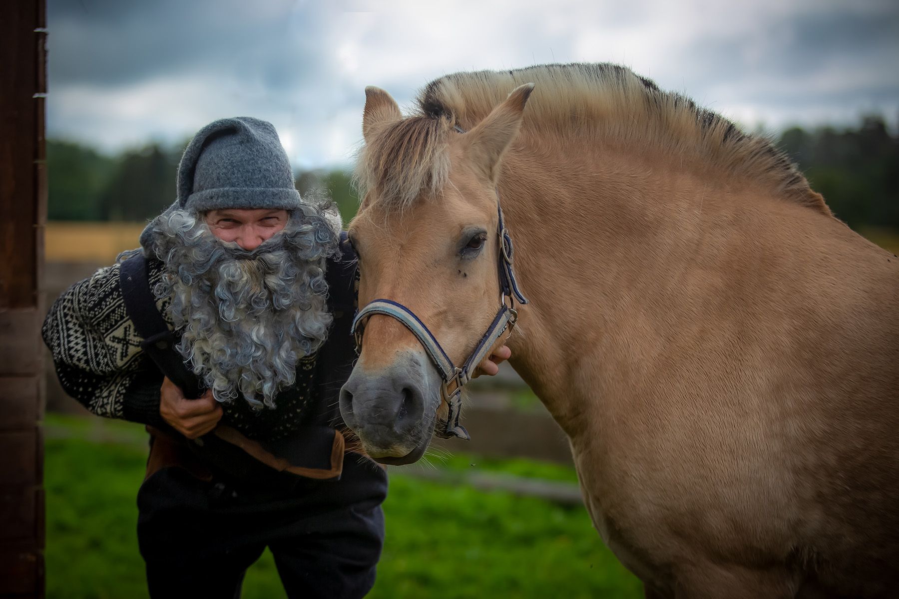 Gray Santa and horse