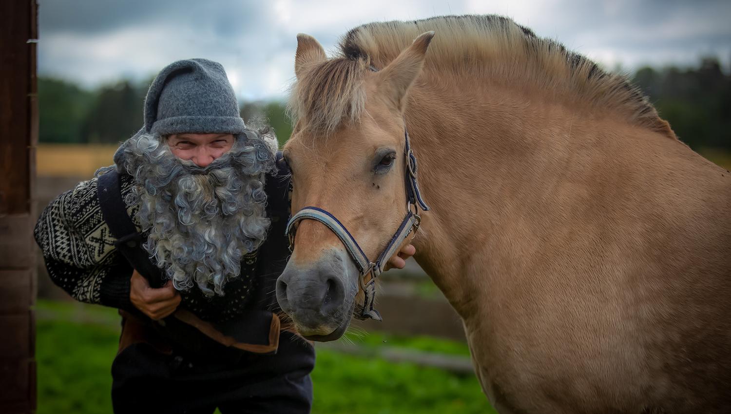 Gray Santa and horse