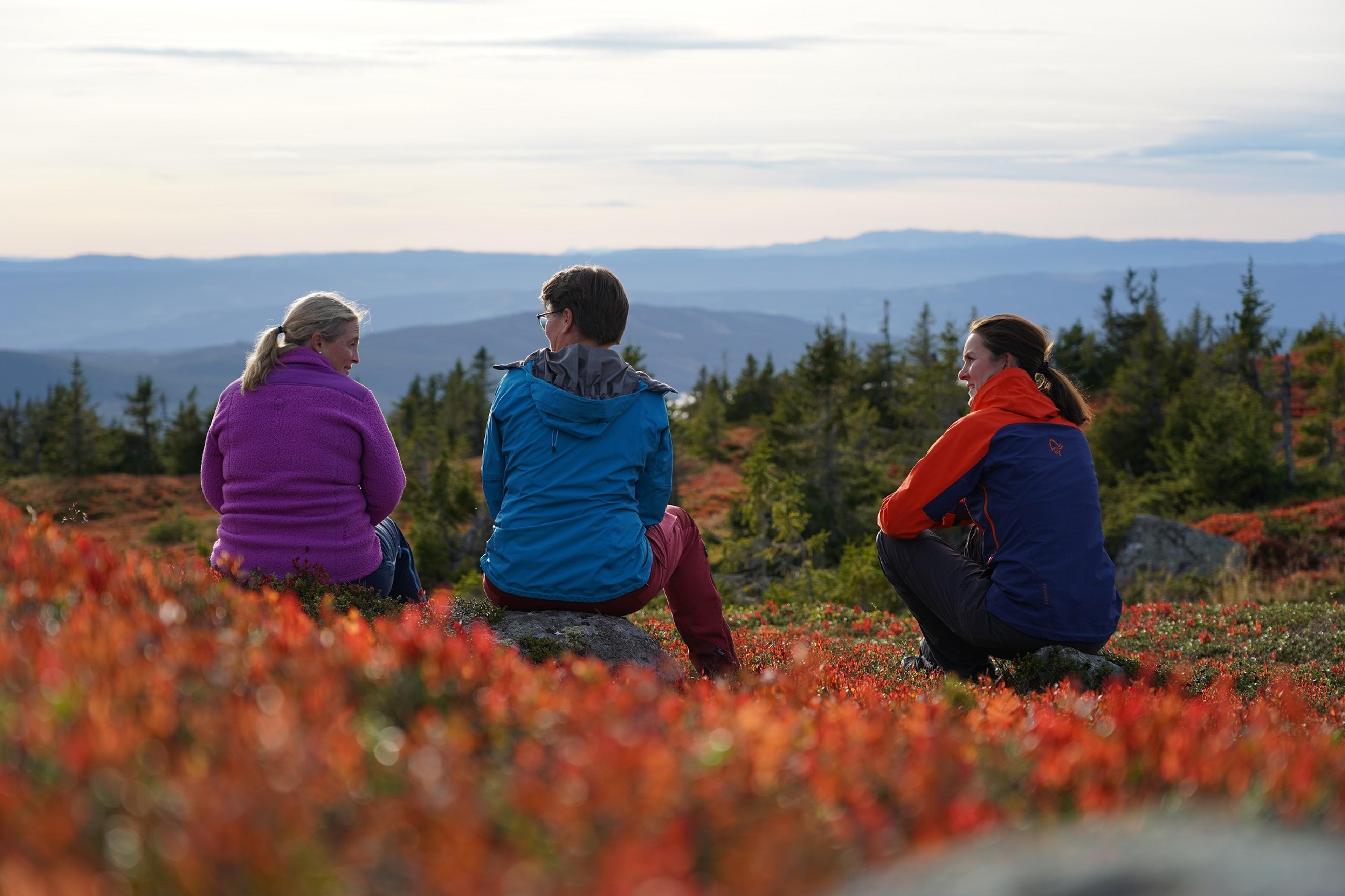 Vandring på Sjusjøen, Ringsaker fjellet