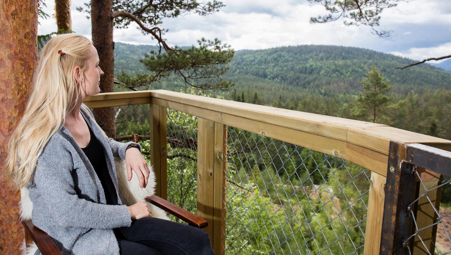 Utsikt Trehyttene i Gjerstad