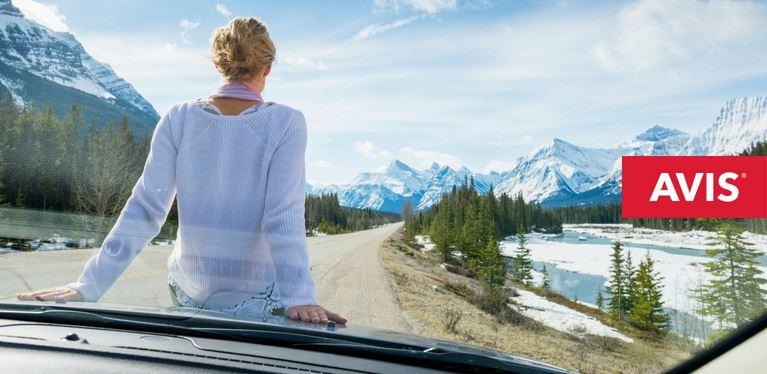 Avis car rental