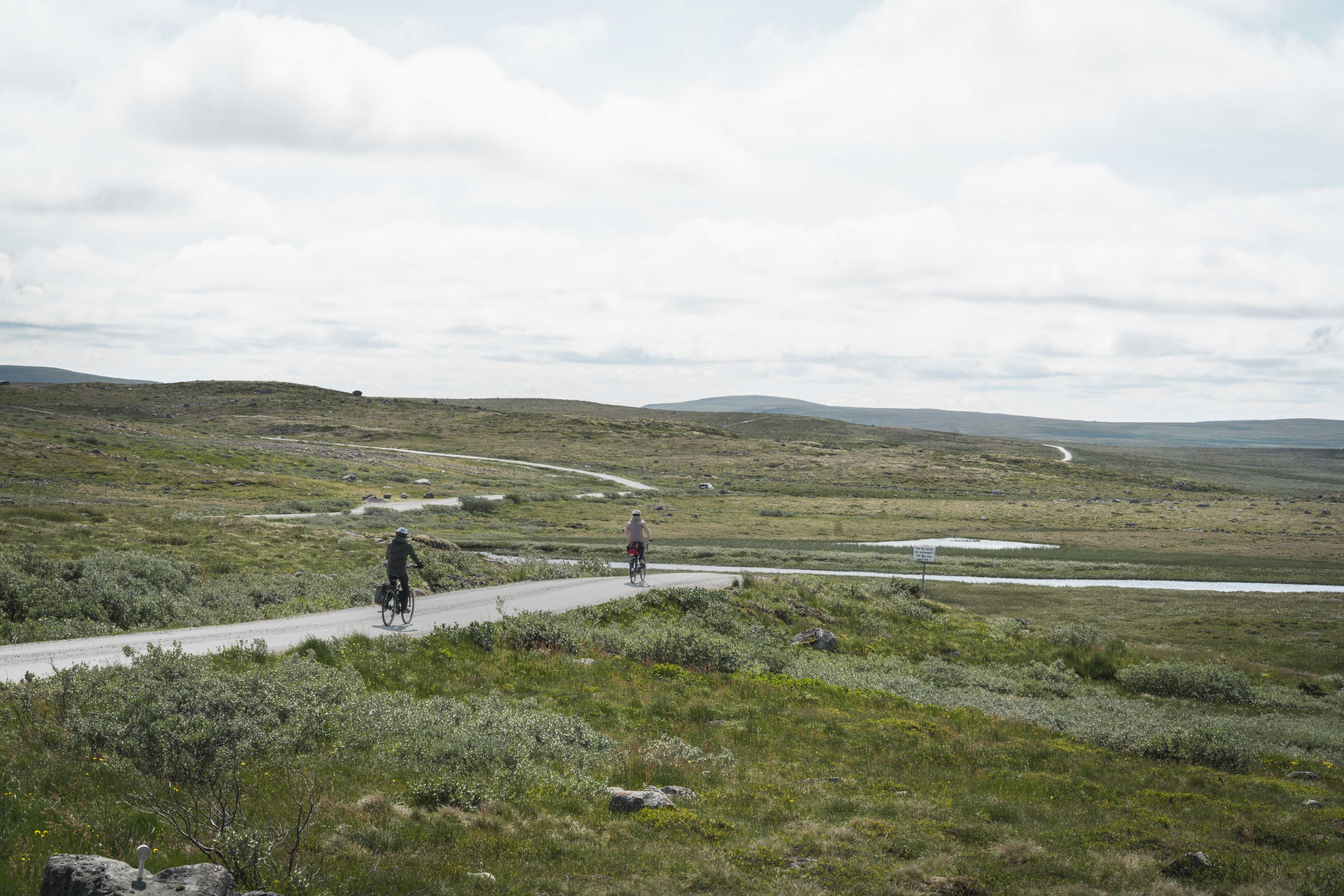 2 syklister på Tinnhølen fjellvei, omgitt av fjellgrønt.