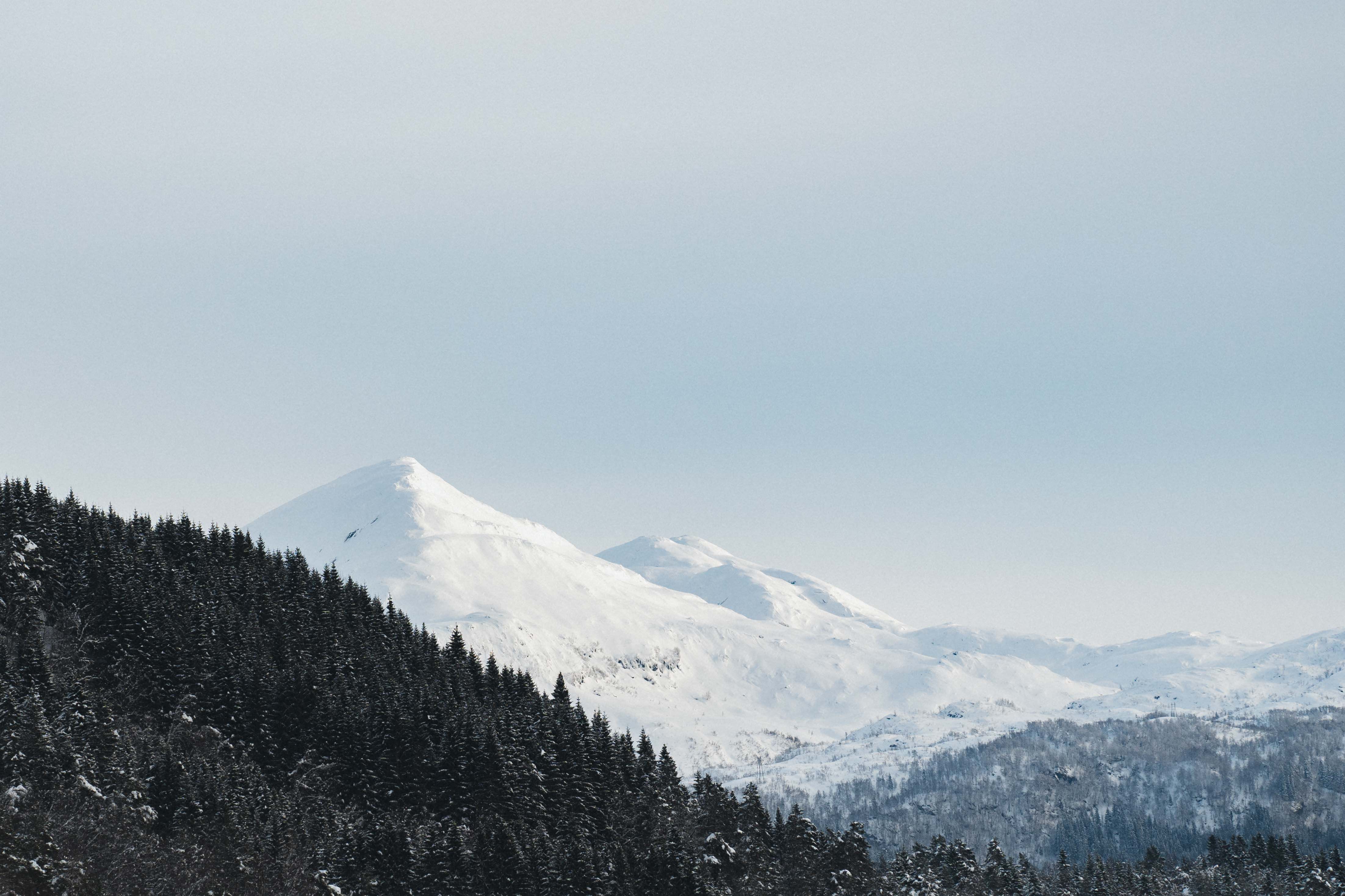 Utsikt til en spiss fjelltopp og granskog.