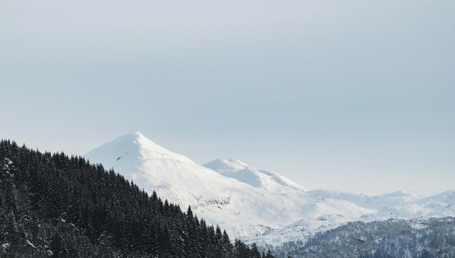 Utsikt til en spiss fjelltopp og granskog.