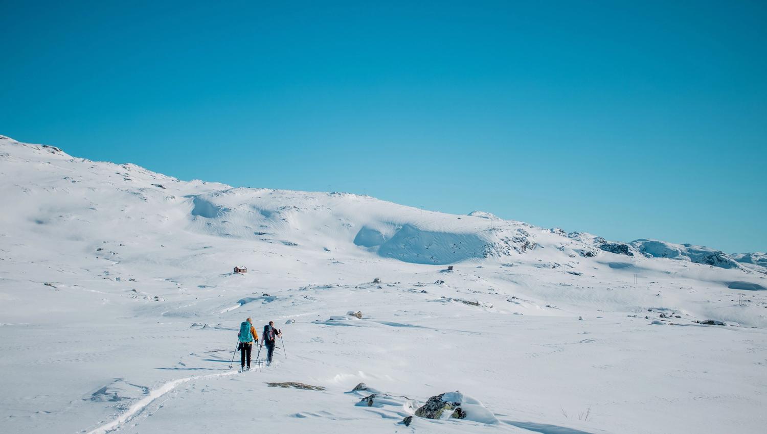 Trolltunga Vintertur