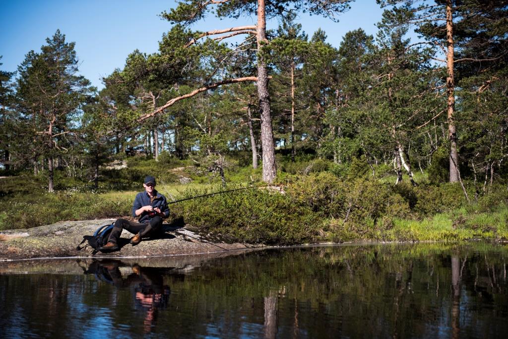 Fiske i Hillestadheia