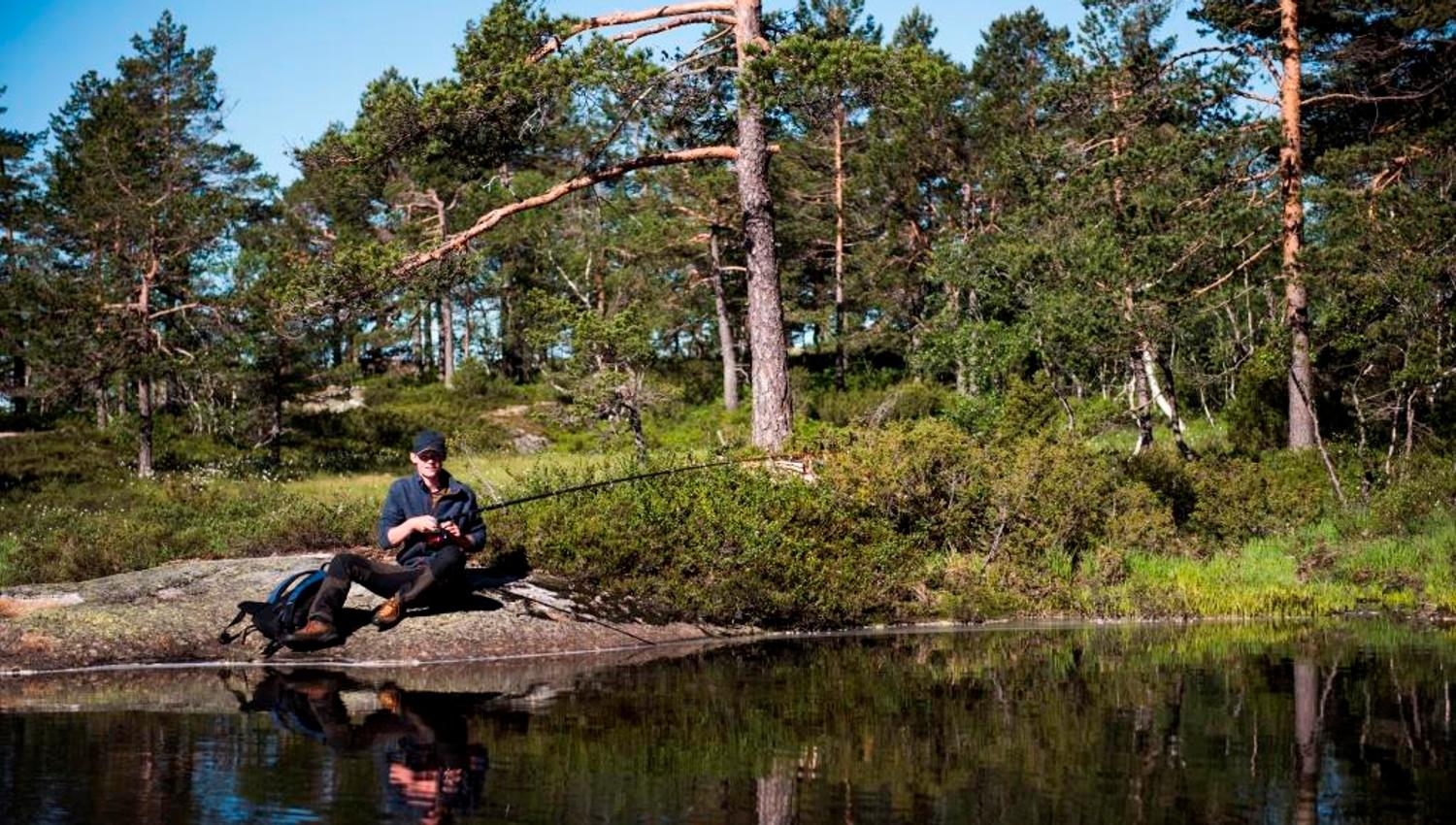 Fiske i Hillestadheia