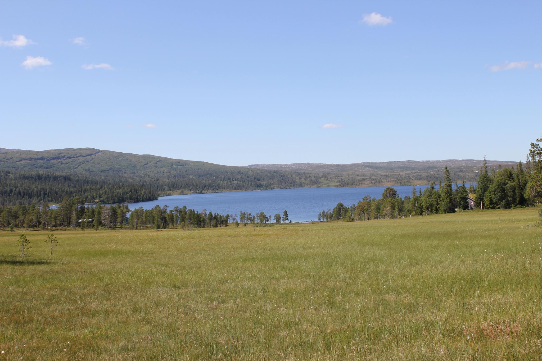 Innfallsport Grøningen - Blåfjella-Skjækerfjella Nasjonalpark