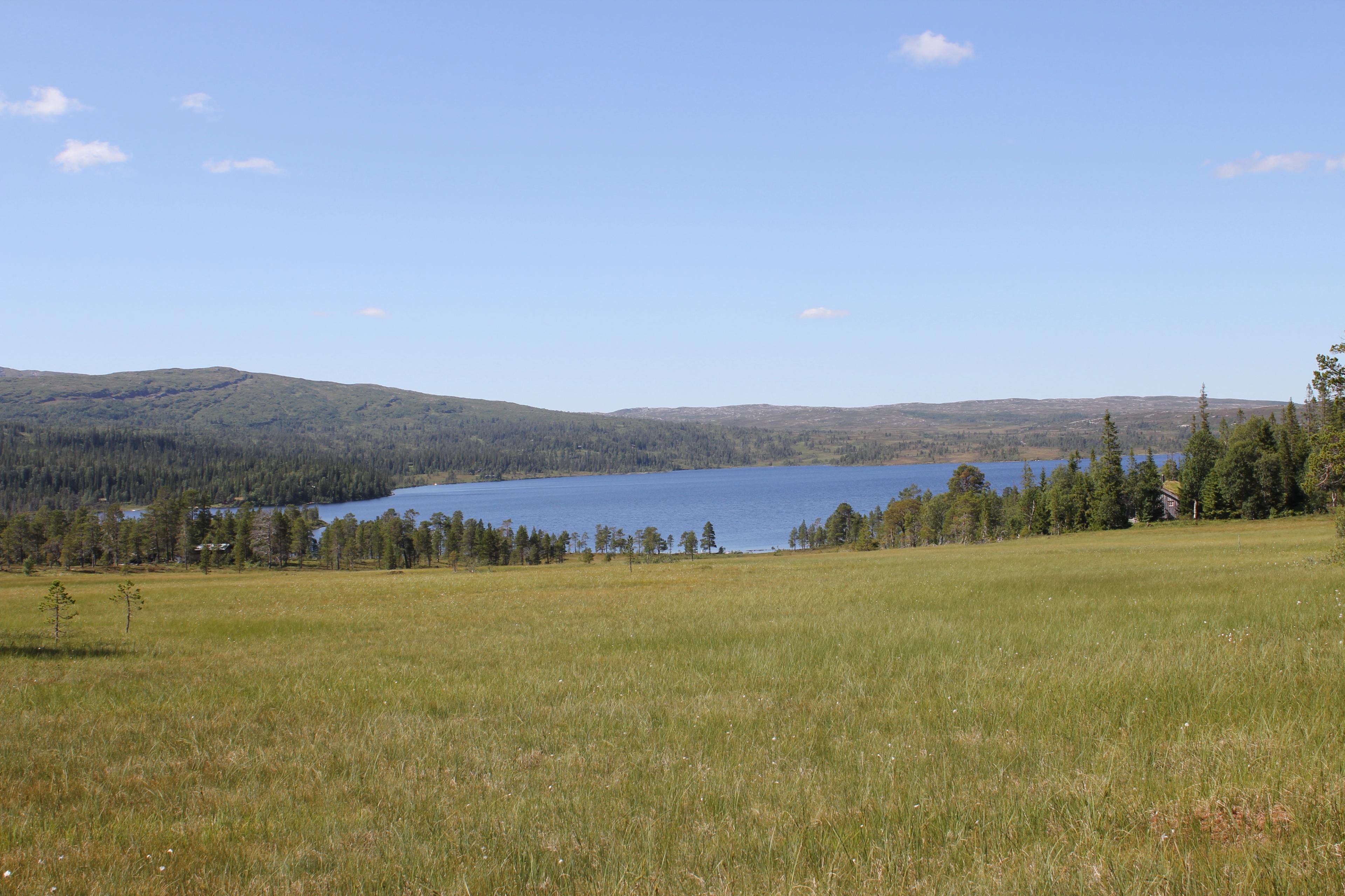 Innfallsport Grøningen - Blåfjella-Skjækerfjella Nasjonalpark