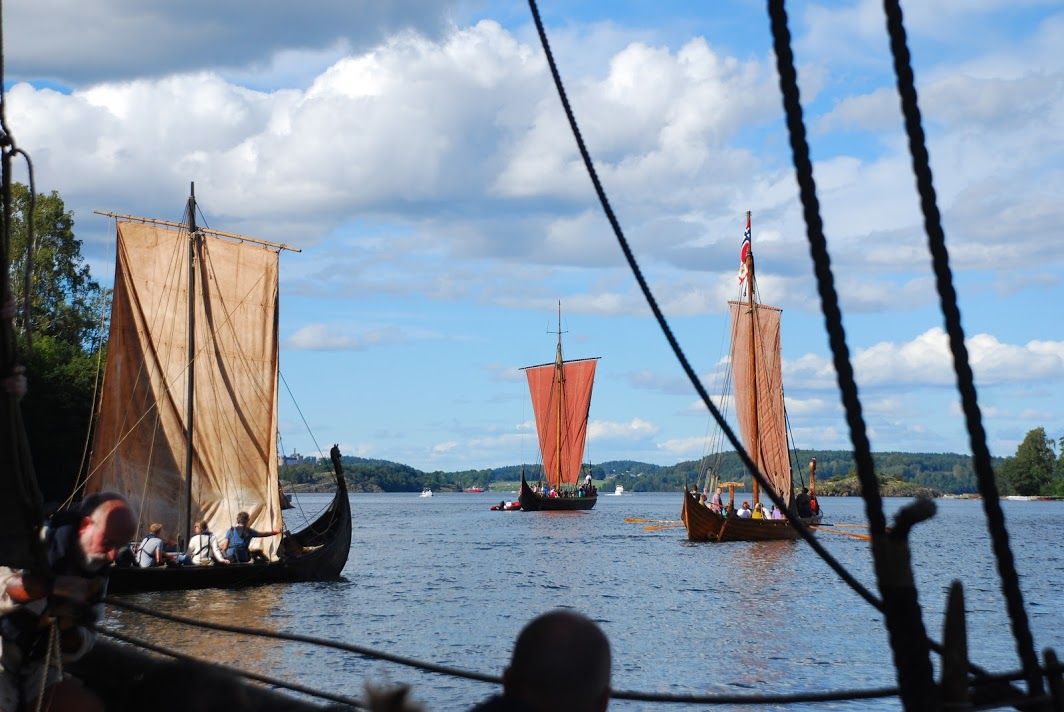 Many Viking ships