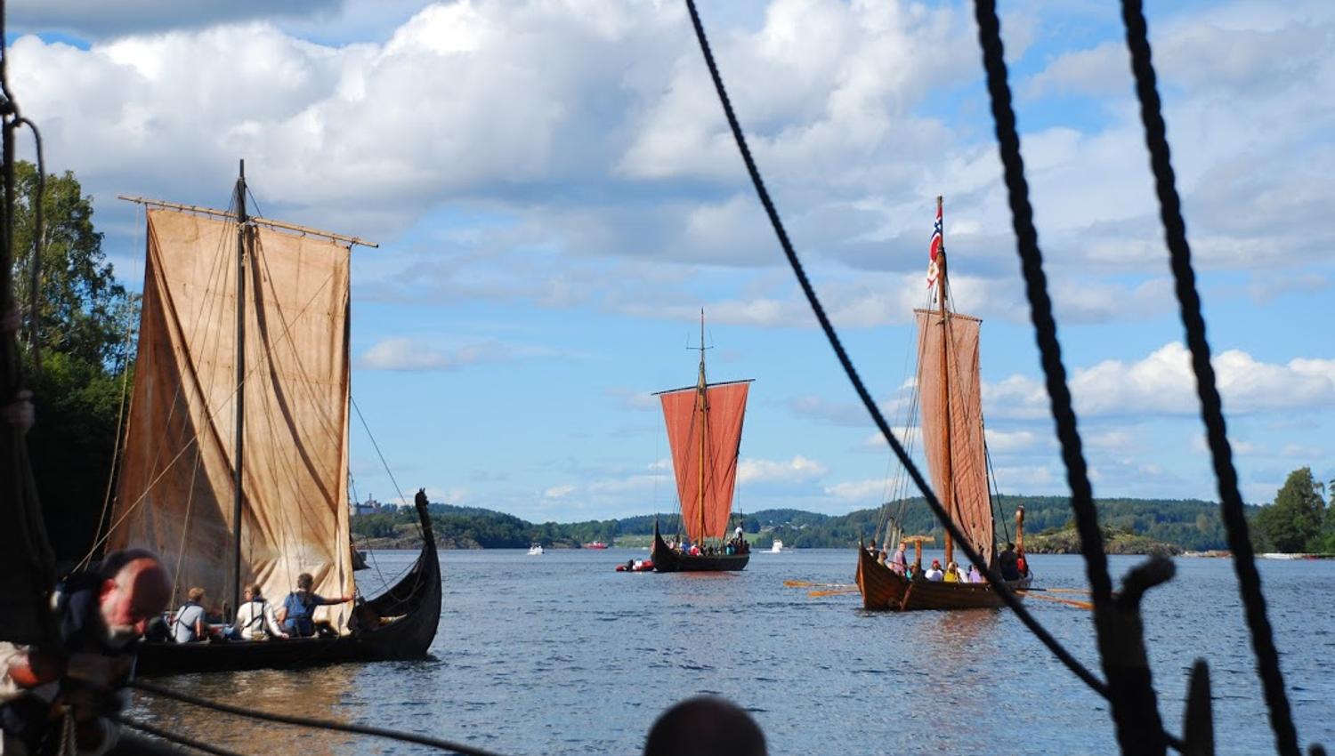 Many Viking ships