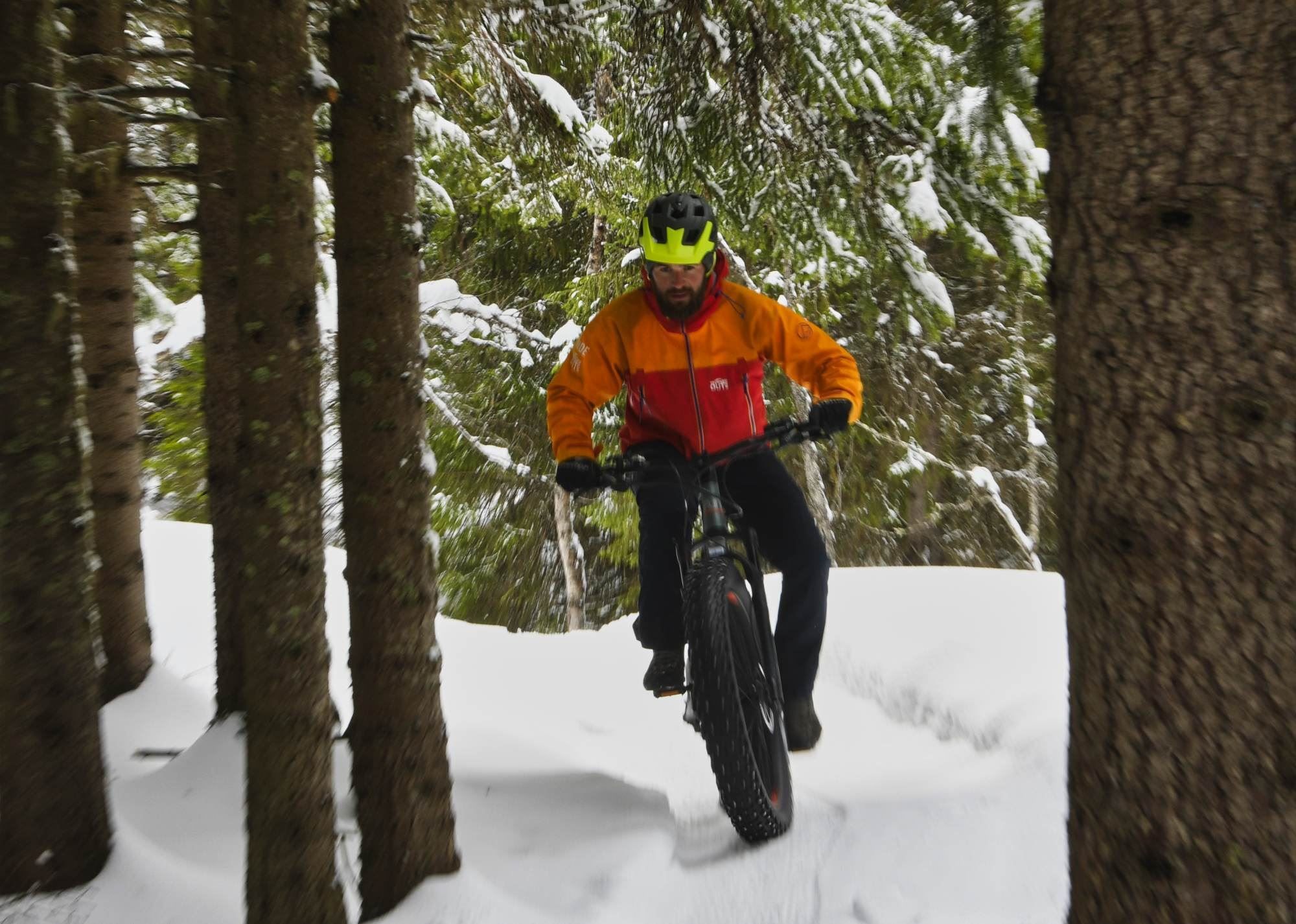 A person on a fatbike among trees in winter