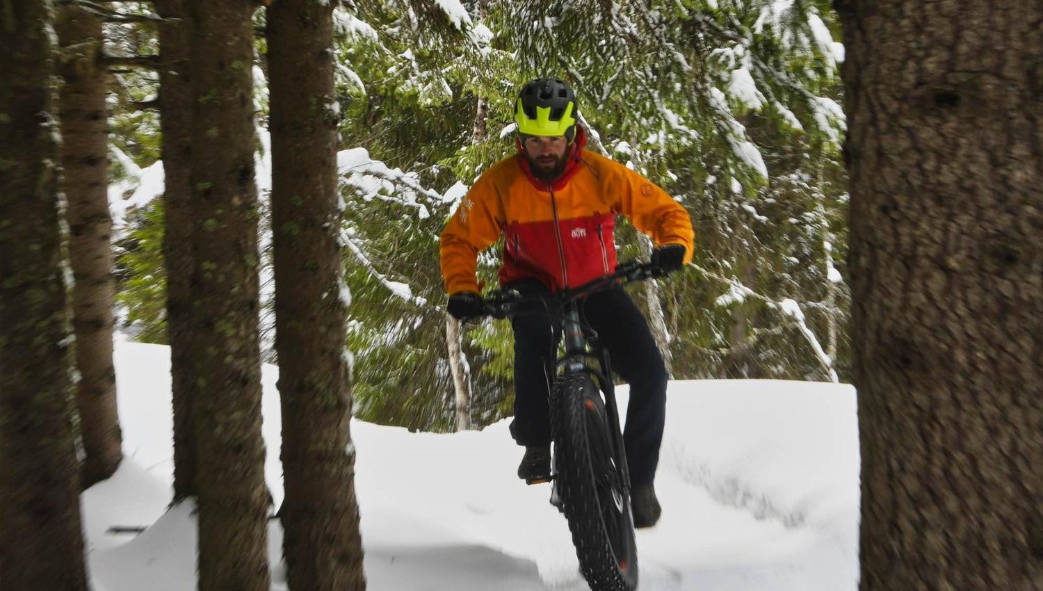 A person on a fatbike among trees in winter