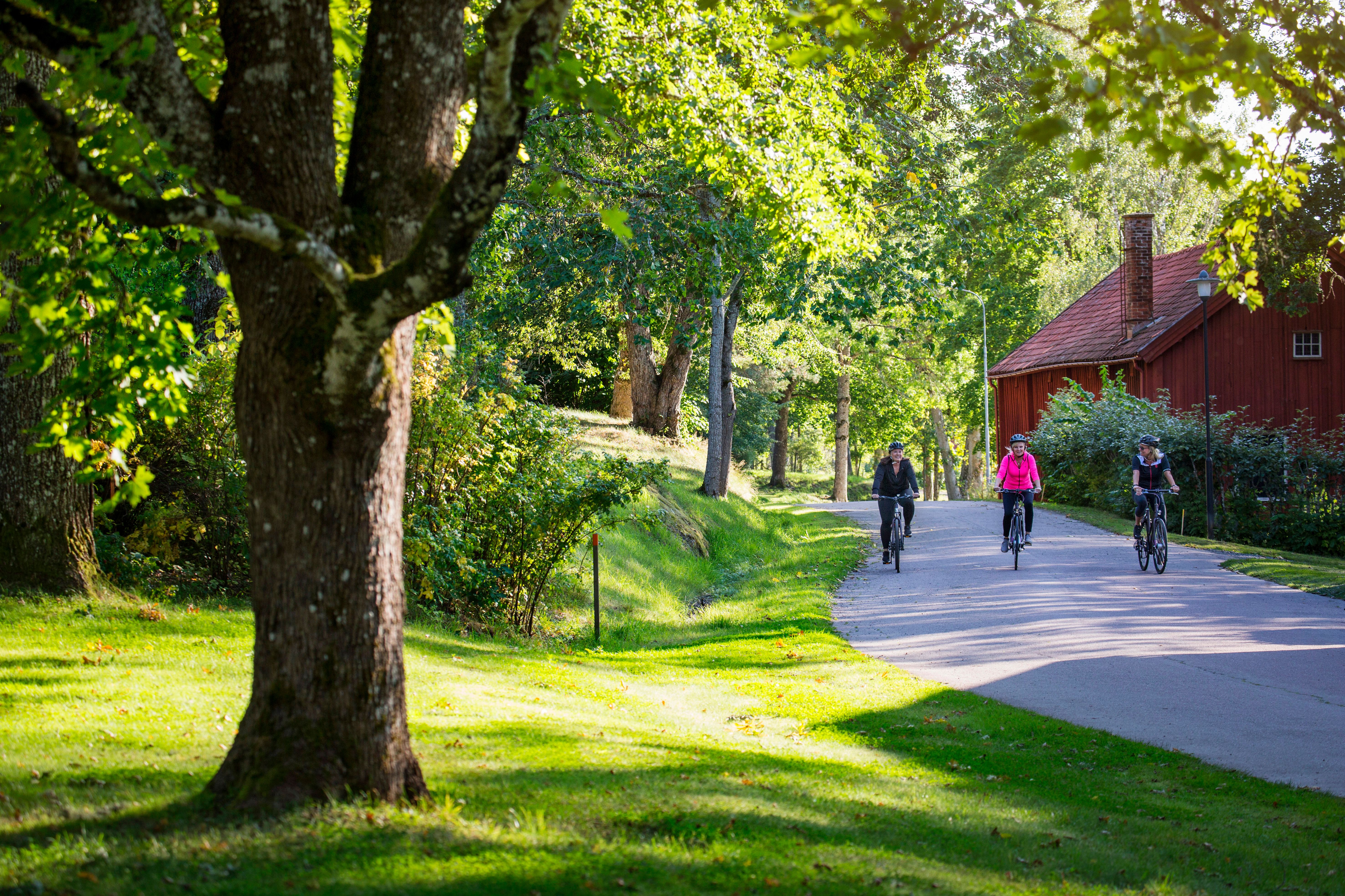 Roger Borgelid_VisitVarmland Cykel Borgvik-ByVa¨gen 02