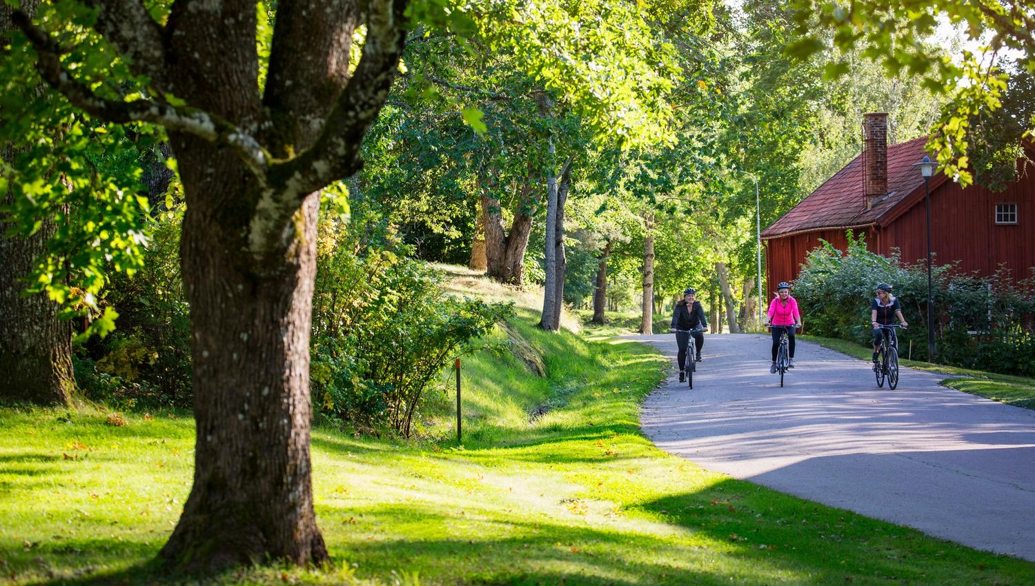 Roger Borgelid_VisitVarmland Cykel Borgvik-ByVa¨gen 02