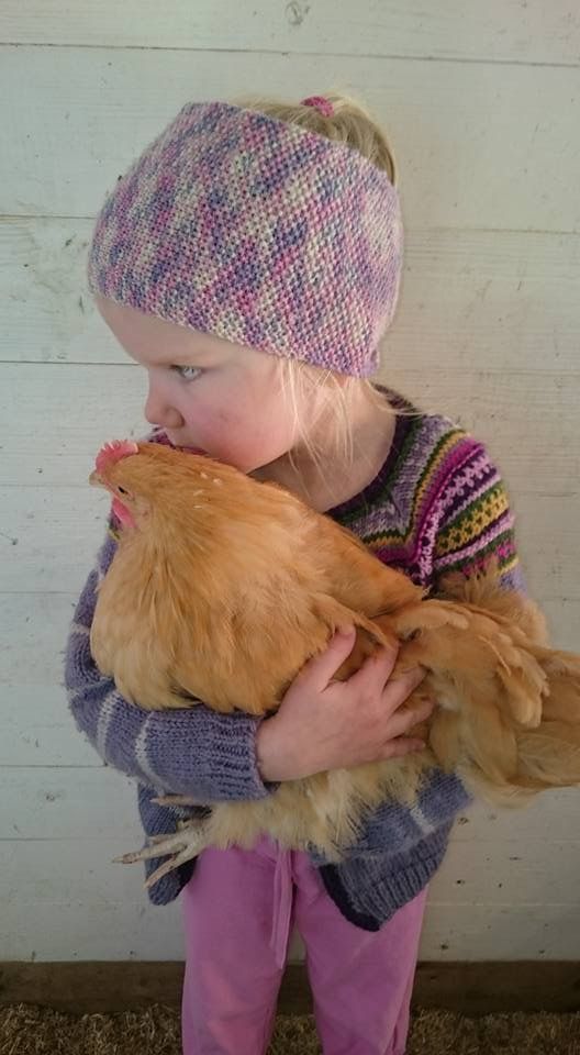 Girl kisses a hen on the head
