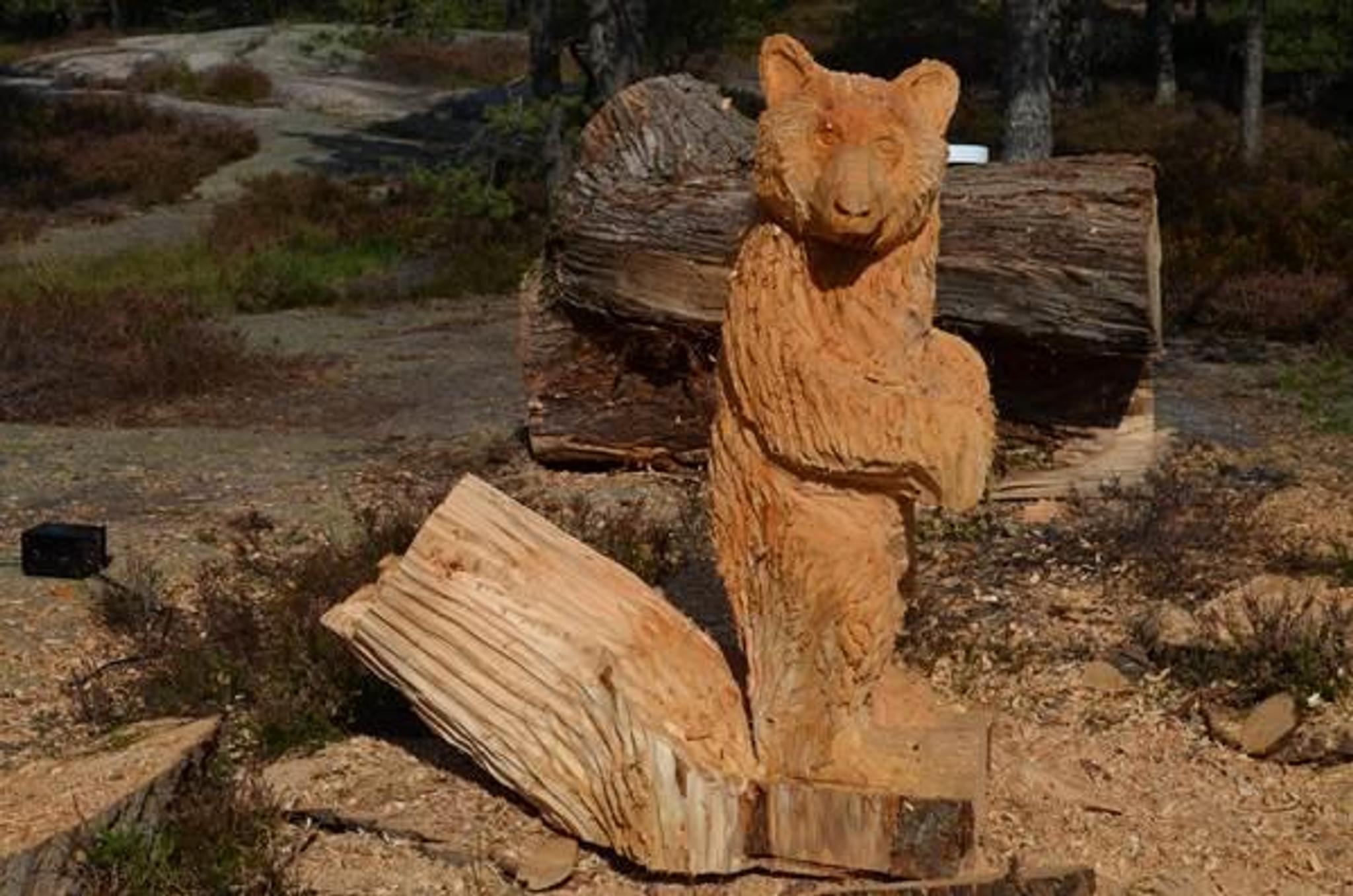 Bjørneløypa i Fredrikstad – barnas egen tursti i Bjørndalen | Fredrikstad