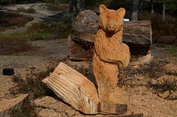 Bear trail in Fredrikstad - The childrens own hiking trail in Bjørndalen